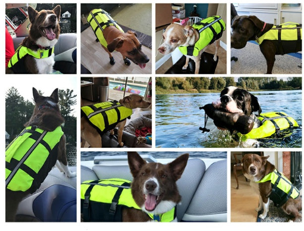 Inflatable Diving Fabric Pet Life Preserver Safety Dog Swimming Pool Vest