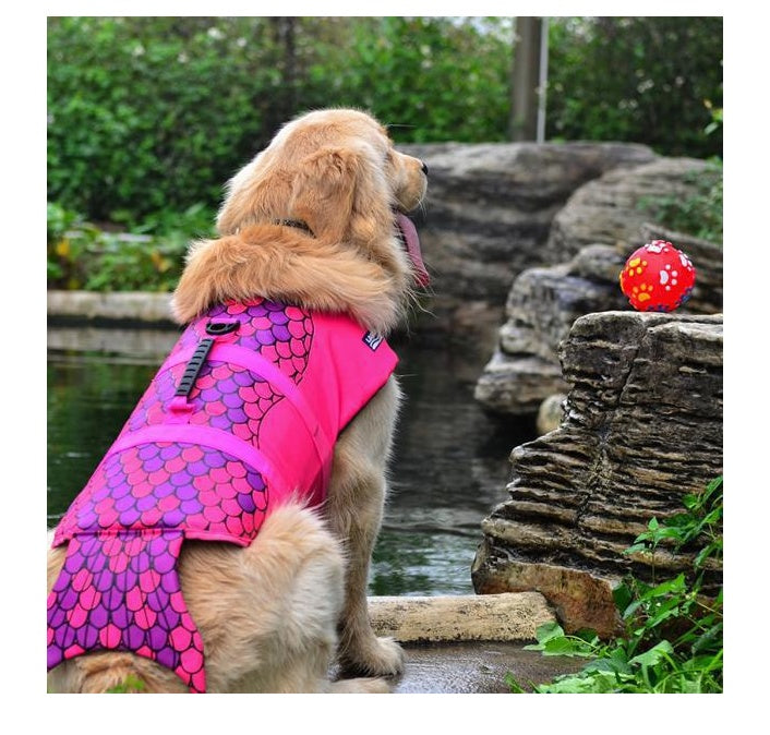 Dog life jacket