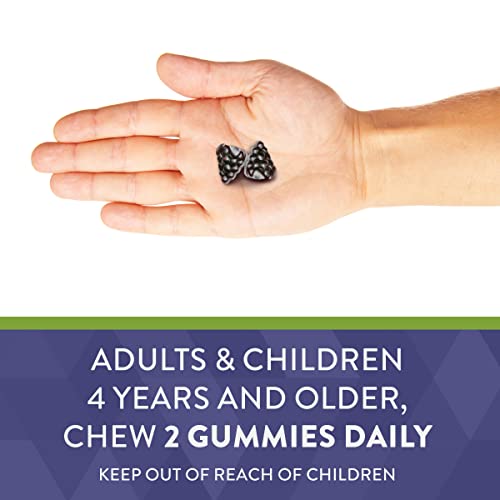 Nature's Way Sambucus Elderberry Gummies with Vitamin C and Zinc for Adult, Immune Support*, 3200 mg, 60 Count
