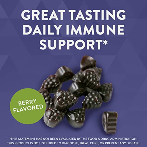 Nature's Way Sambucus Elderberry Gummies with Vitamin C and Zinc for Adult, Immune Support*, 3200 mg, 60 Count