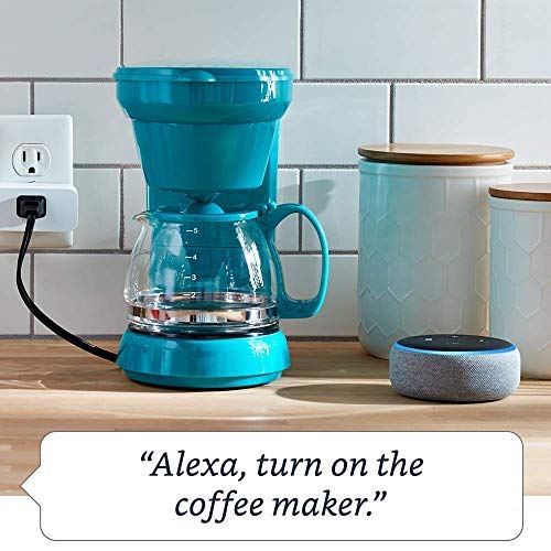 Smart Plug, for home automation, Works with Alexa - A Certified for Humans Device