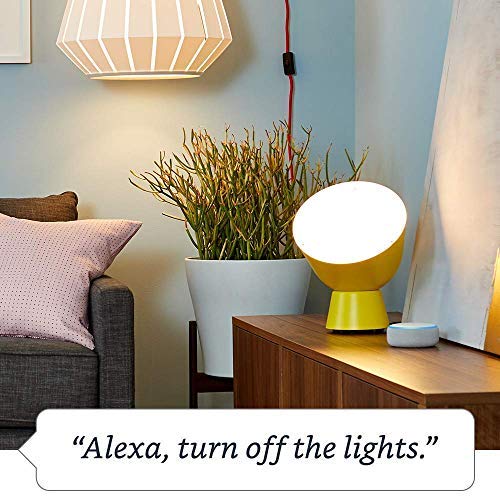 Smart Plug, for home automation, Works with Alexa - A Certified for Humans Device